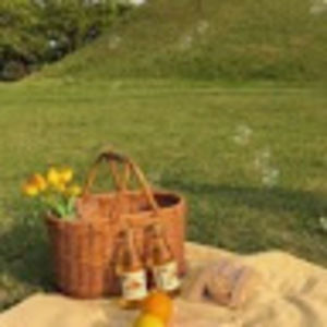 Meet your Posher, Gabriela